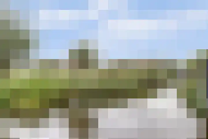 Visschouw 49 Reeuwijk thumbnail 4
