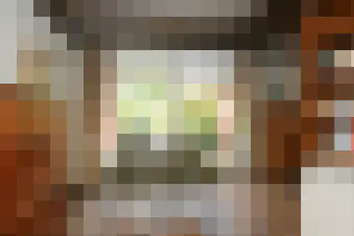 Vissedijk 1 b Almelo thumbnail 10