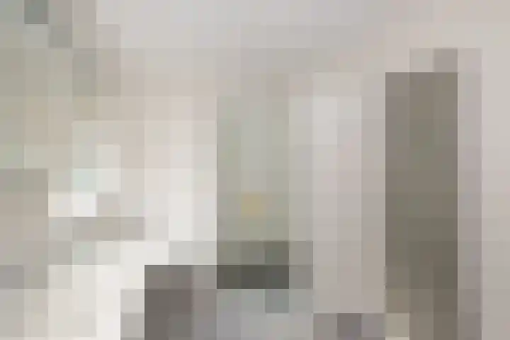 Vissedijk 1 b Almelo thumbnail 15