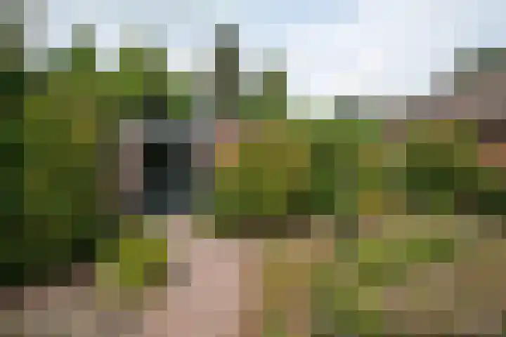 Vissedijk 1 b Almelo thumbnail 19