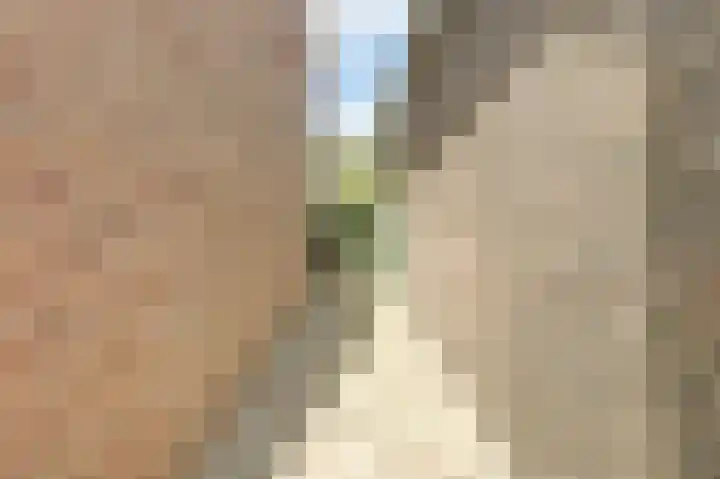 Vissedijk 29 Almelo thumbnail 30