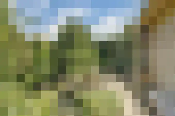 Vissedijk 29 Almelo thumbnail 33
