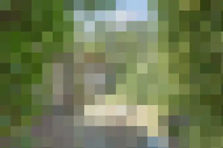 Vissedijk 29 Almelo thumbnail 34