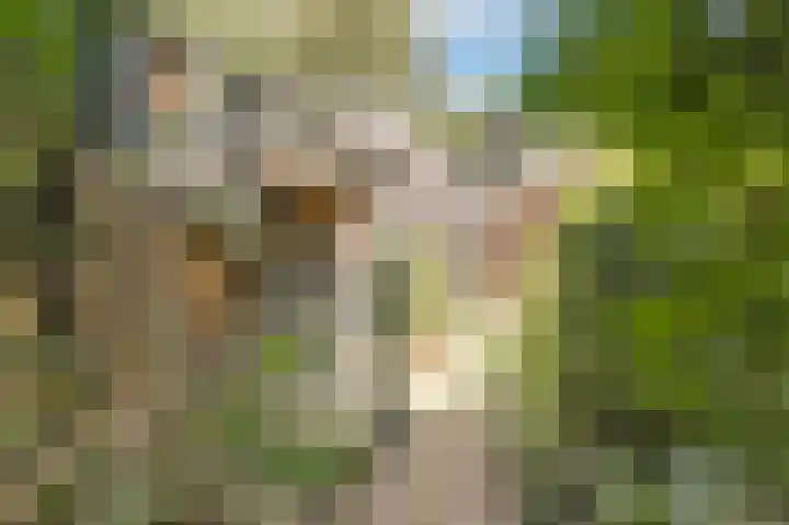 Vissedijk 29 Almelo thumbnail 35