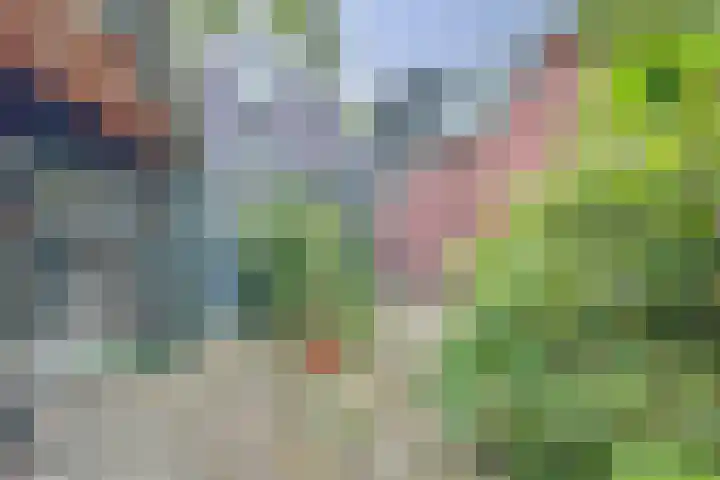 Vissedijk 29 Almelo thumbnail 36