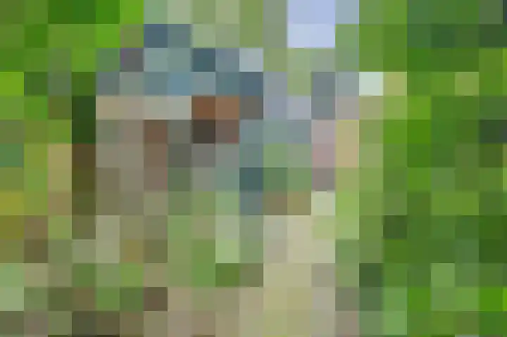 Vissedijk 29 Almelo thumbnail 37