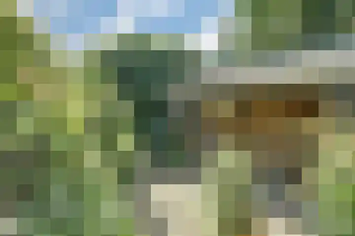 Vissedijk 29 Almelo thumbnail 38
