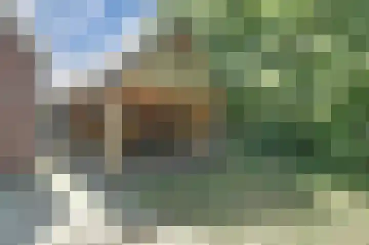Vissedijk 29 Almelo thumbnail 39