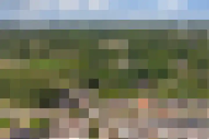Vissedijk 29 Almelo thumbnail 41