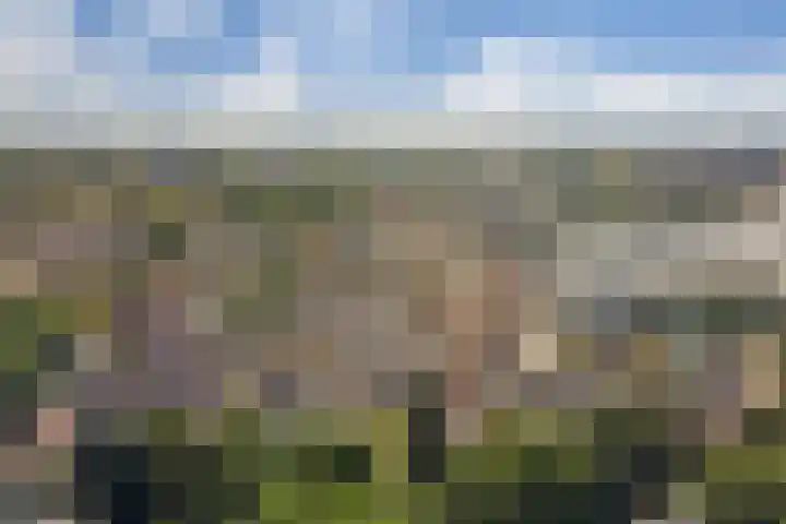 Vissedijk 29 Almelo thumbnail 42