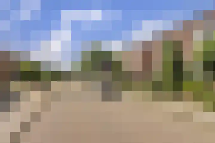 Vissedijk 29 Almelo thumbnail 44