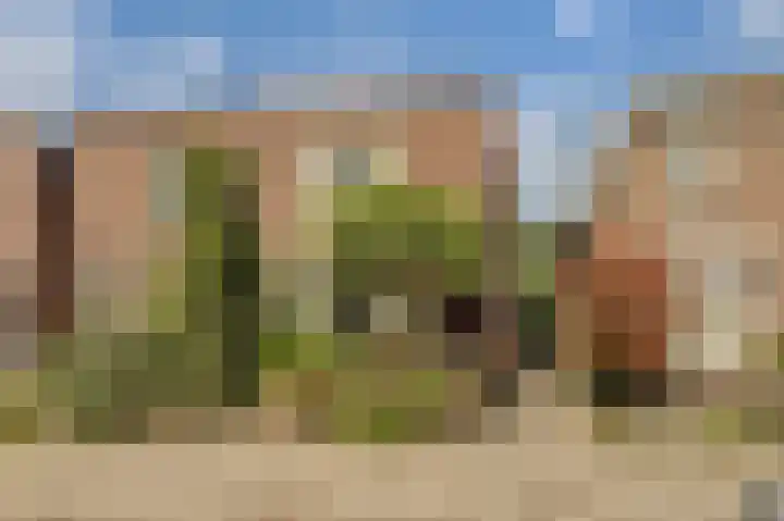 Vissedijk 29 Almelo thumbnail 5