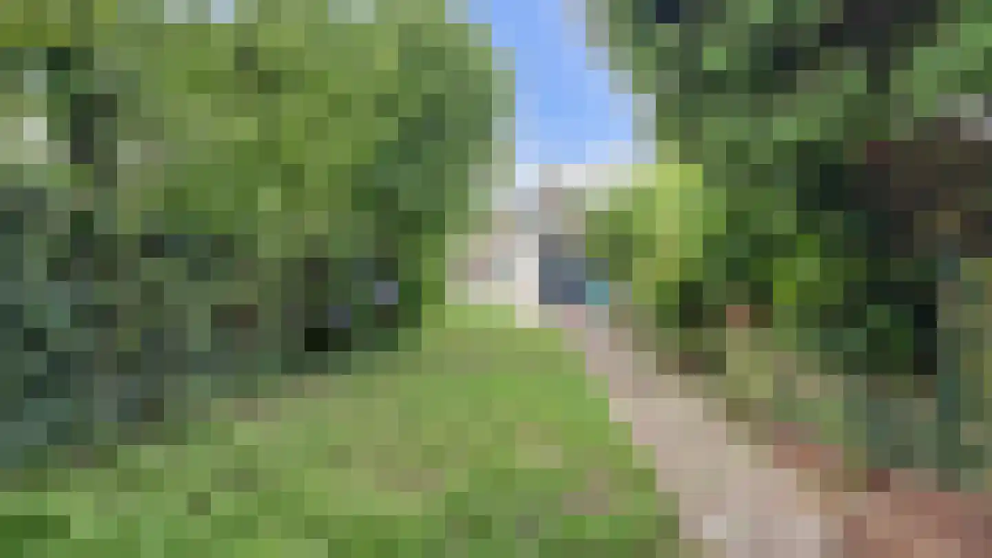 Vissedijk 33 Almelo thumbnail 19