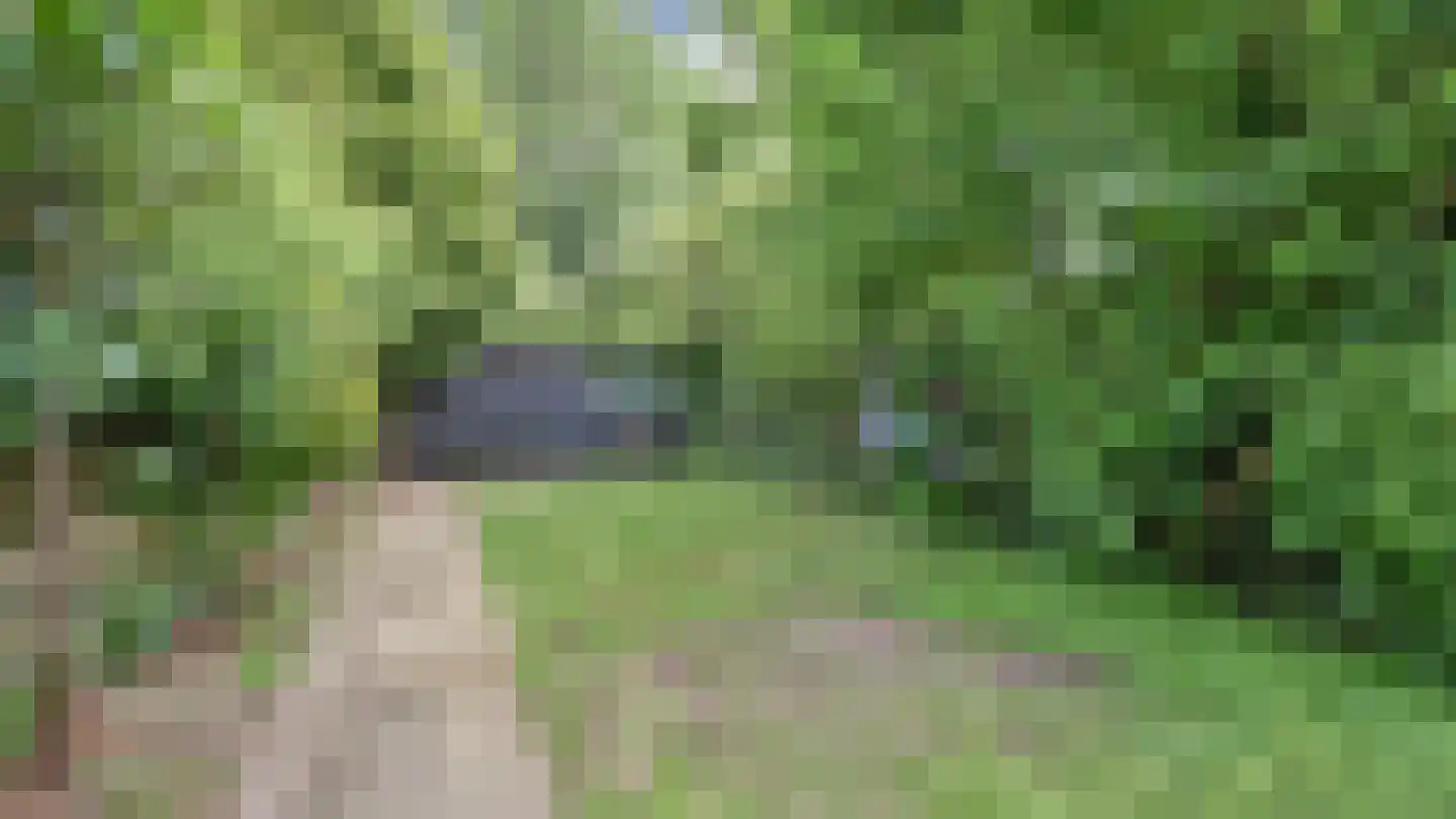 Vissedijk 33 Almelo thumbnail 20