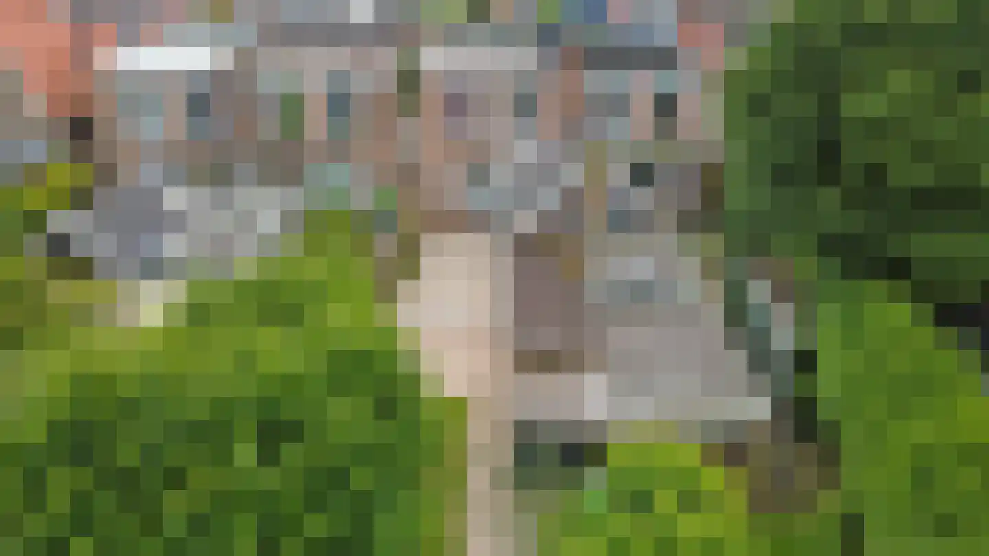 Vissedijk 33 Almelo thumbnail 26