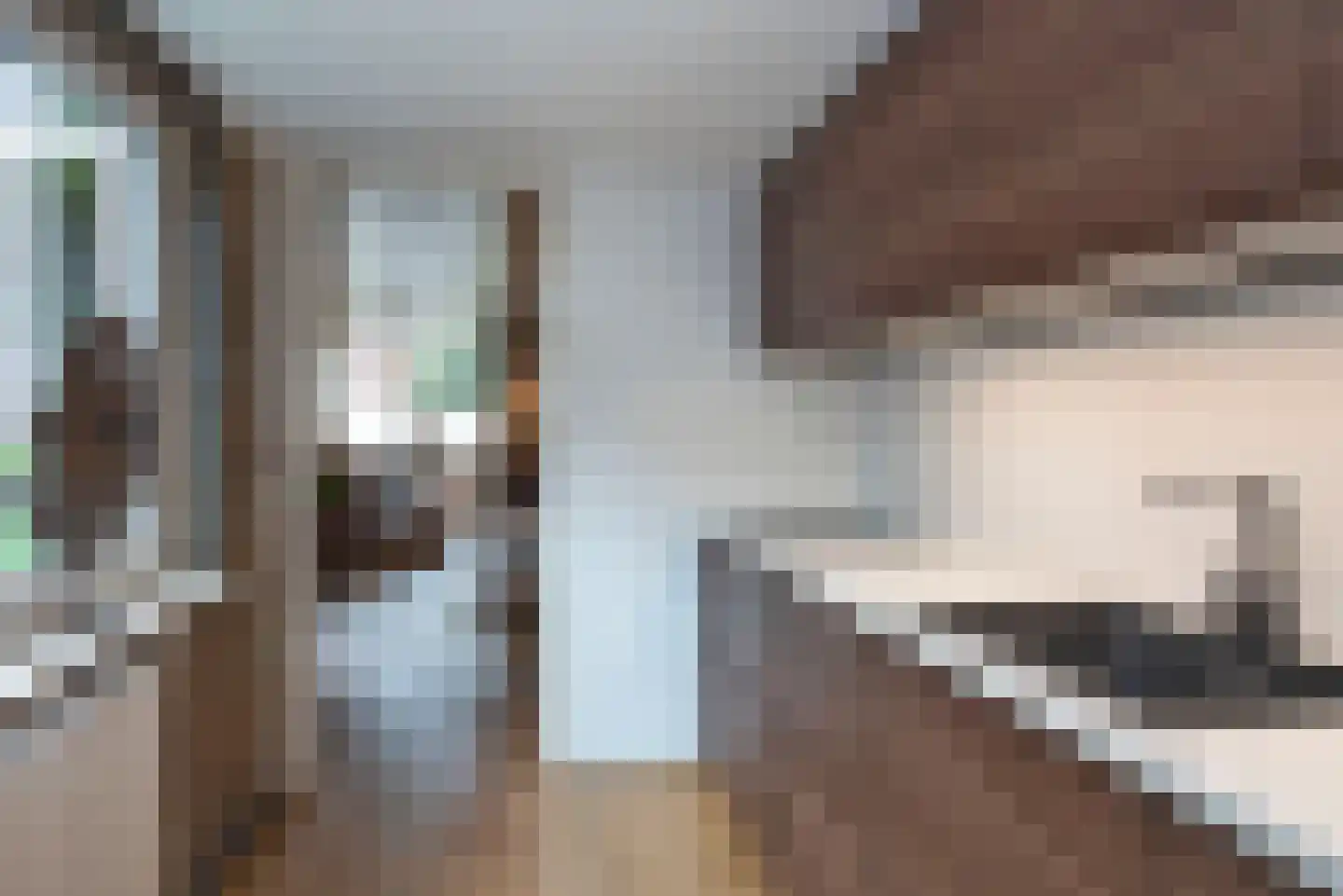 Vissedijk 9 Almelo thumbnail 12