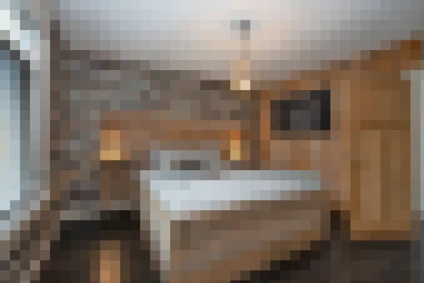 Vissedijk 9 Almelo thumbnail 20