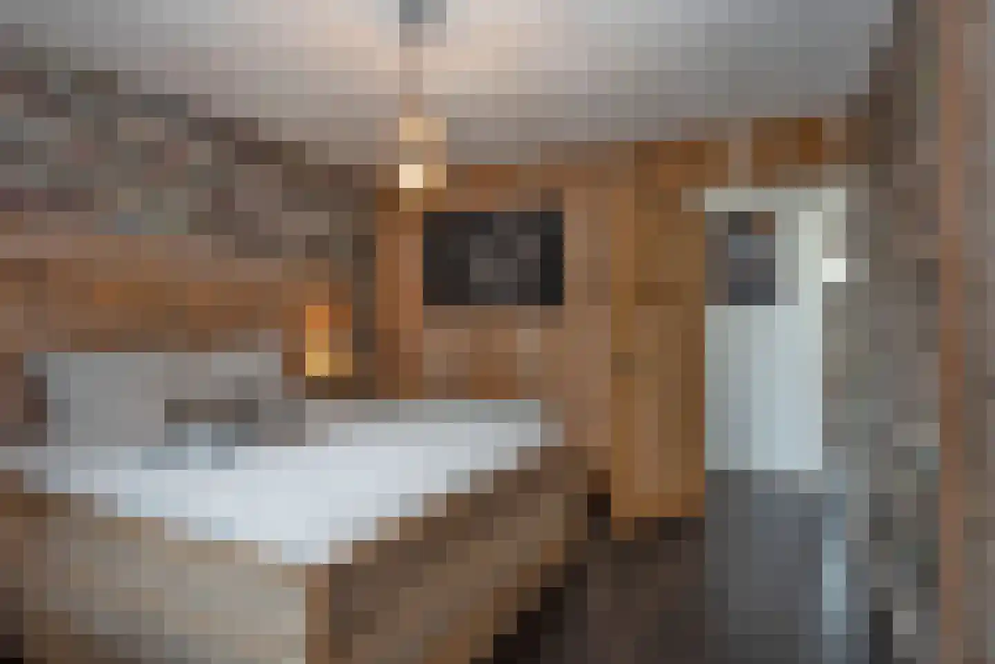 Vissedijk 9 Almelo thumbnail 21