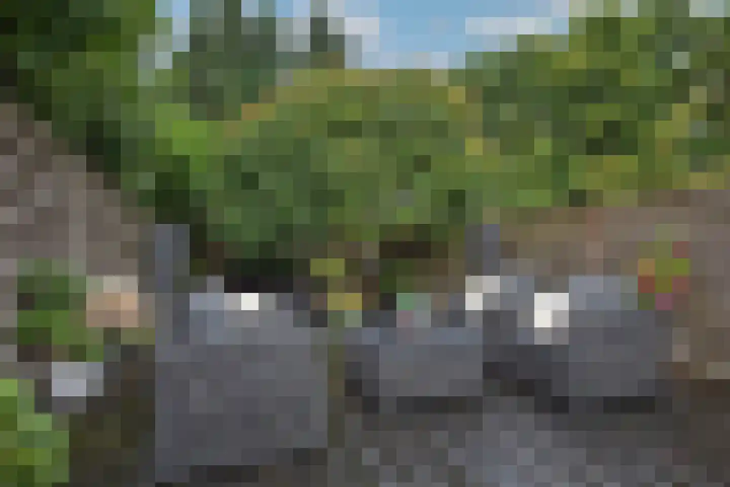 Vissedijk 9 Almelo thumbnail 28