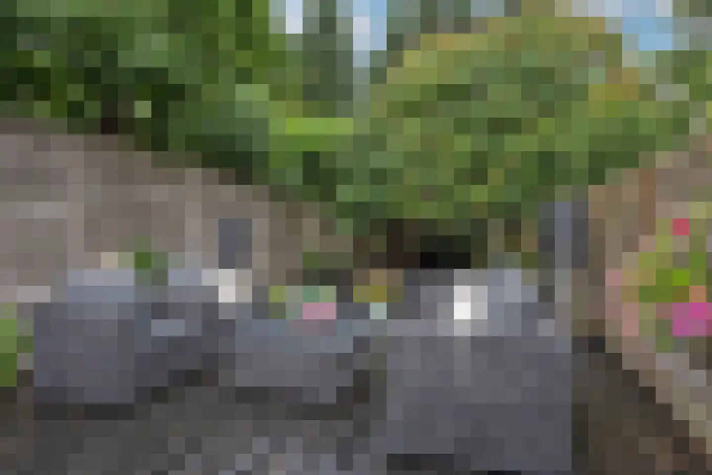 Vissedijk 9 Almelo thumbnail 29