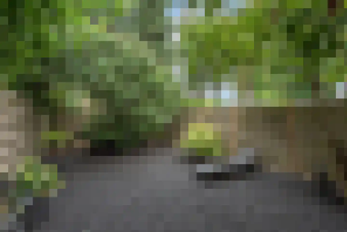 Vissedijk 9 Almelo thumbnail 30