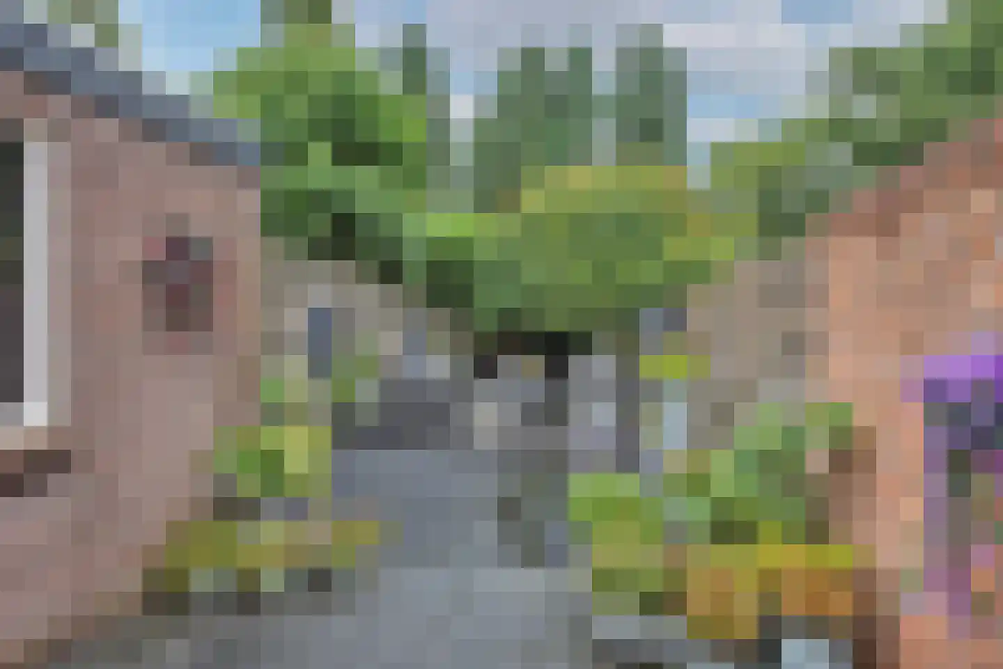 Vissedijk 9 Almelo thumbnail 34