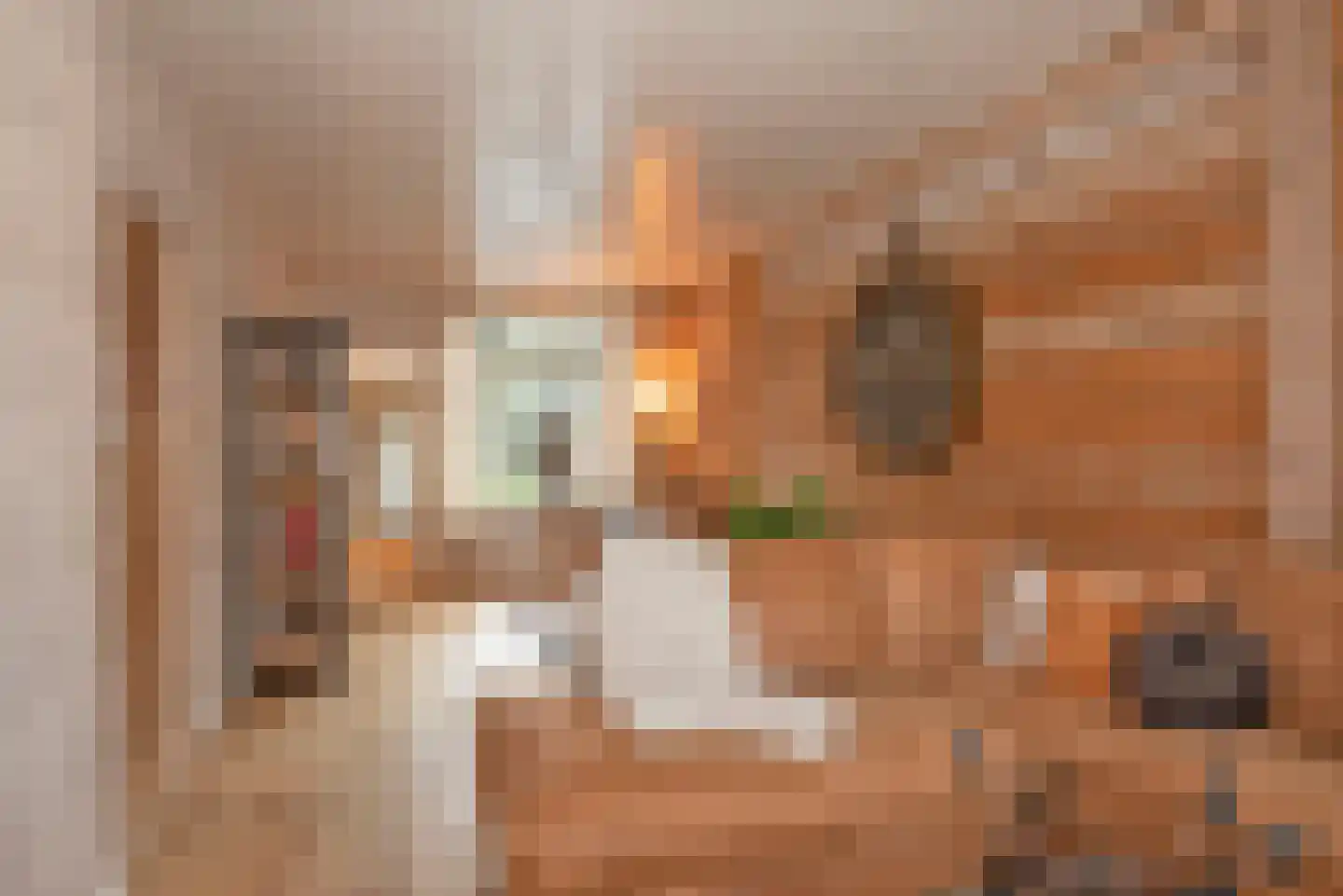 Vissedijk 9 Almelo thumbnail 5