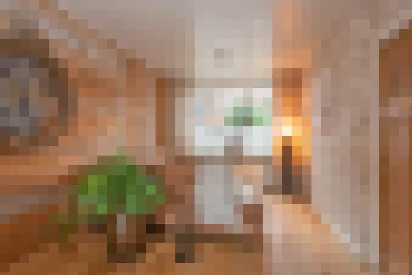 Vissedijk 9 Almelo thumbnail 6