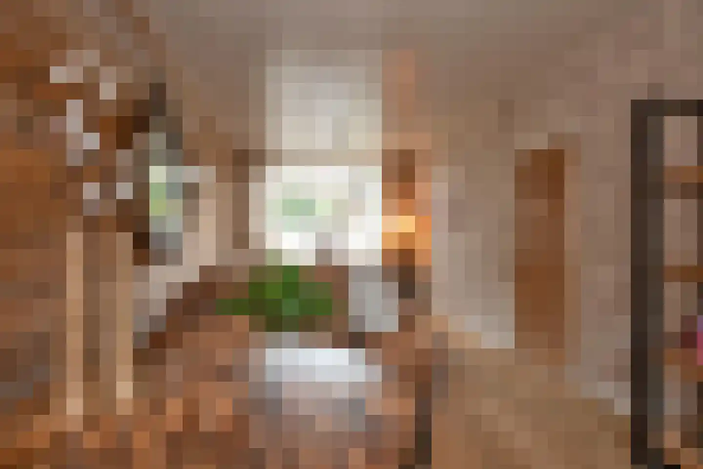 Vissedijk 9 Almelo thumbnail 8