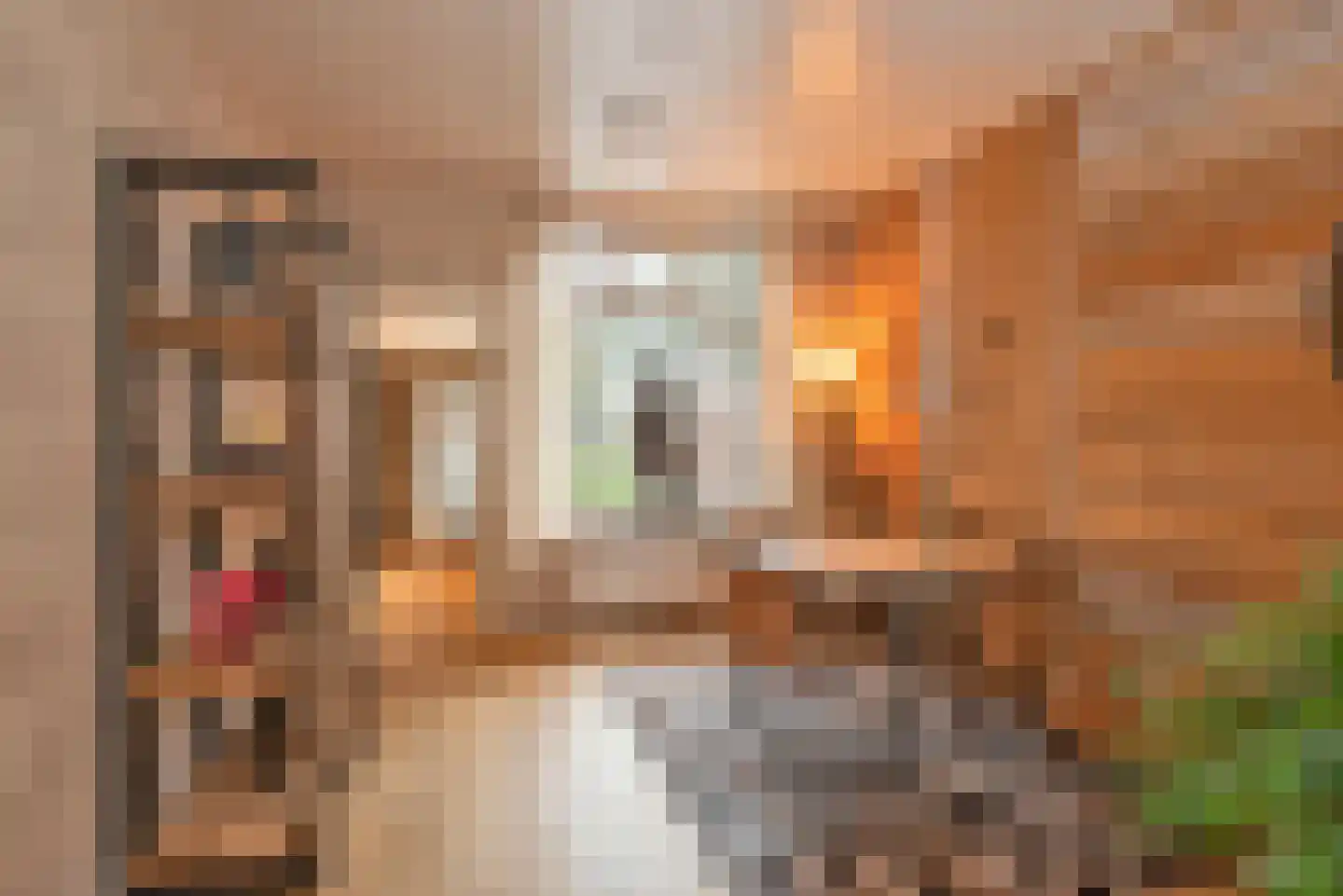 Vissedijk 9 Almelo thumbnail 9