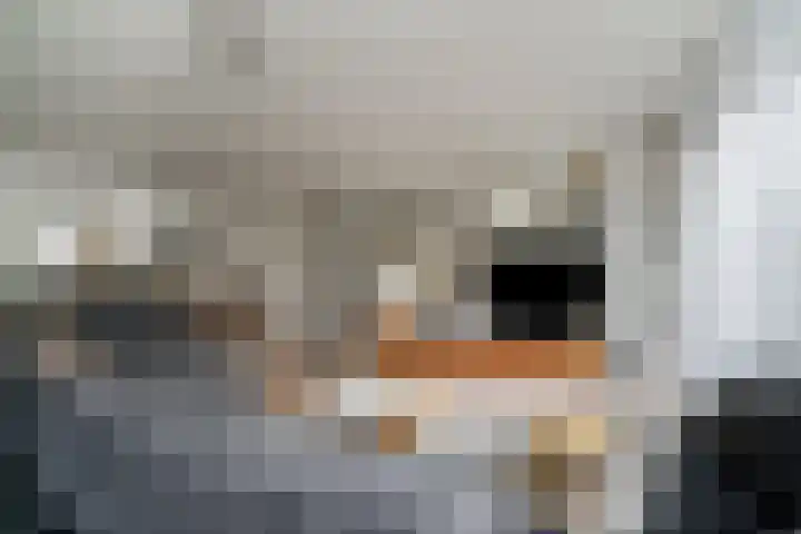 Vissen 15 Elst thumbnail 14