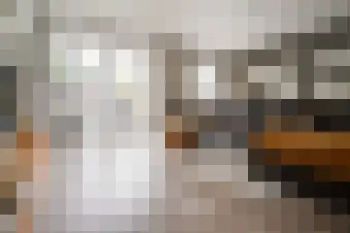 Vissen 15 Elst thumbnail 17