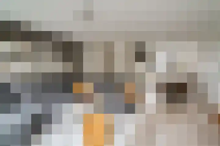 Vissen 15 Elst thumbnail 18