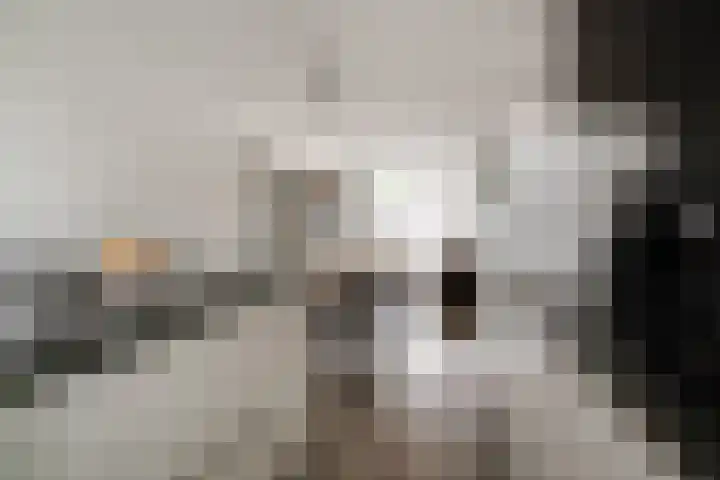 Vissen 15 Elst thumbnail 24