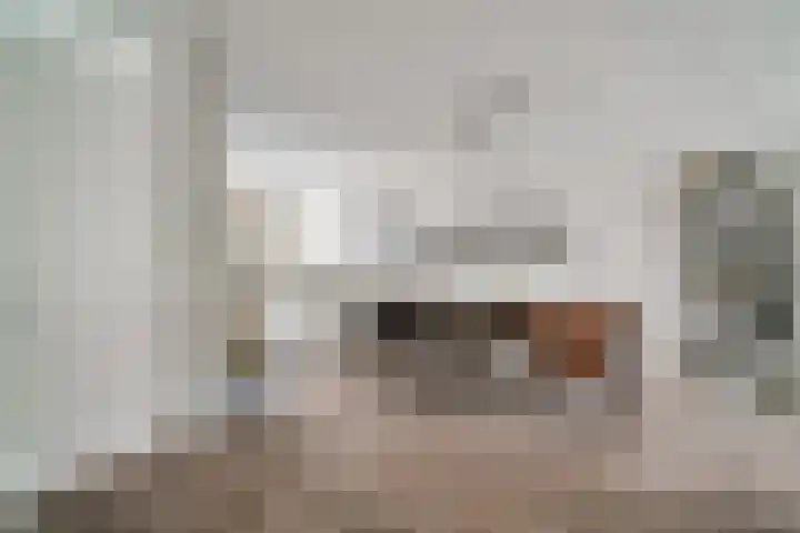 Vissen 15 Elst thumbnail 25