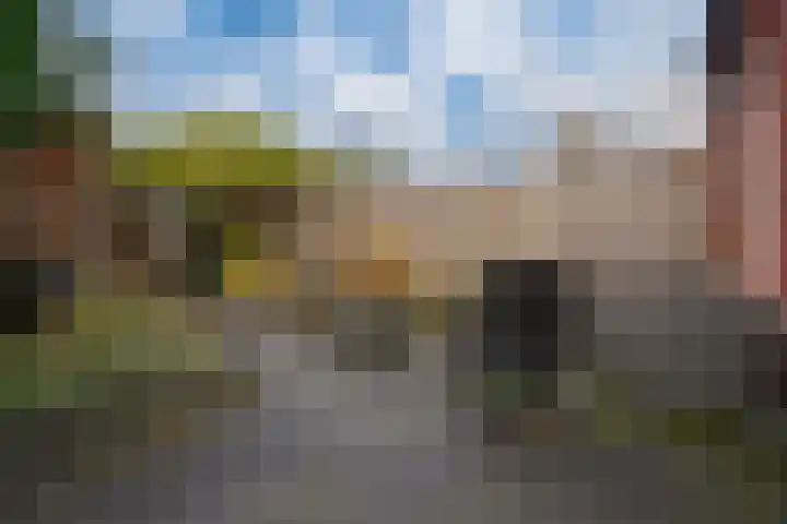 Vissen 15 Elst thumbnail 27