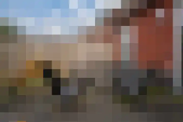 Vissen 15 Elst thumbnail 28