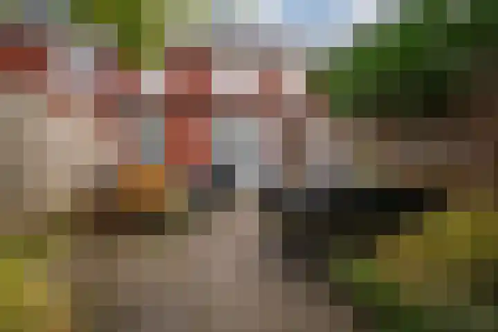 Vissen 15 Elst thumbnail 29