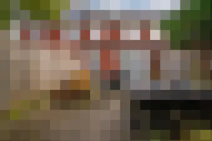 Vissen 15 Elst thumbnail 30