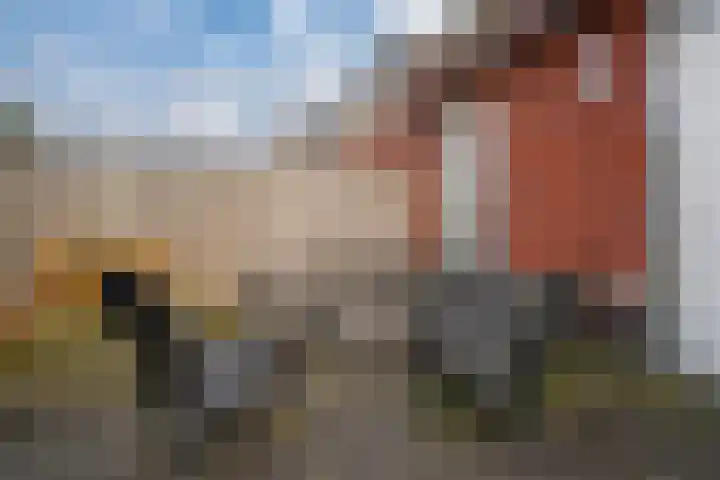 Vissen 15 Elst thumbnail 31