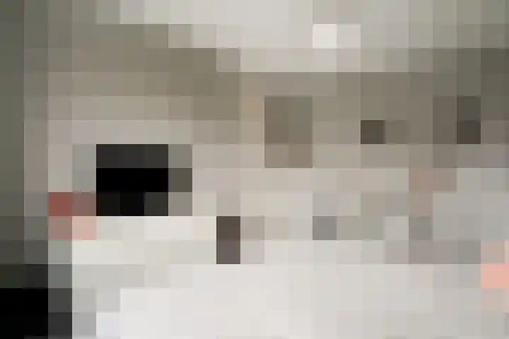 Vissen 15 Elst thumbnail 38