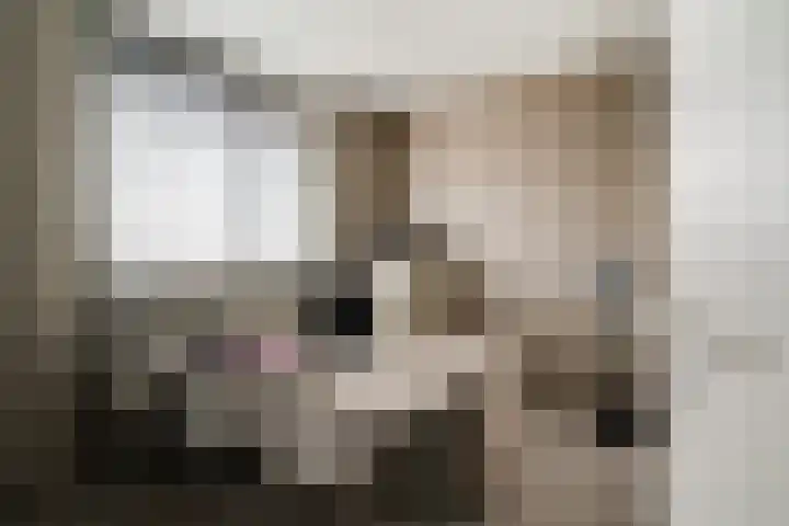 Vissen 15 Elst thumbnail 39