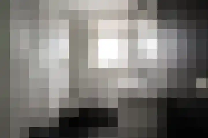 Vissen 15 Elst thumbnail 4