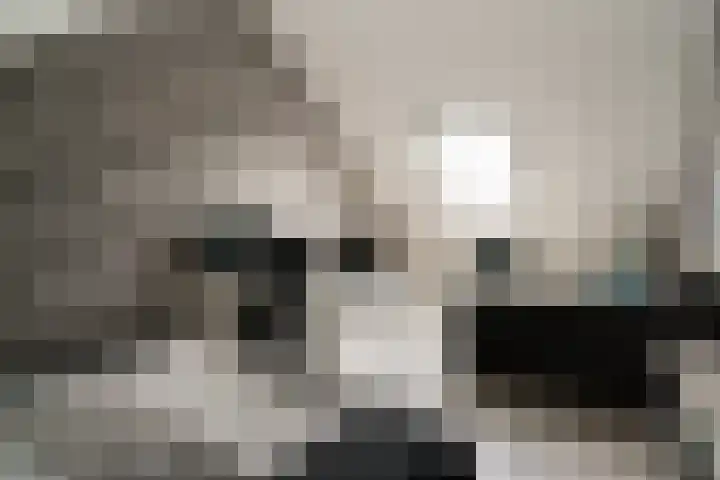 Vissen 15 Elst thumbnail 49