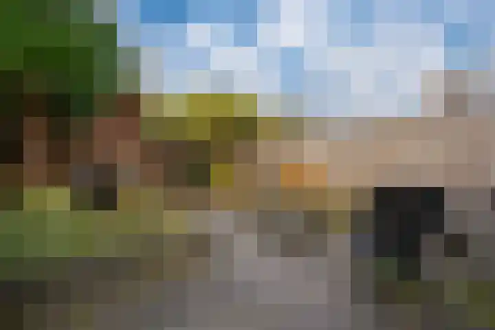 Vissen 15 Elst thumbnail 5