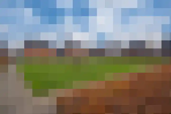 Vissen 15 Elst thumbnail 53