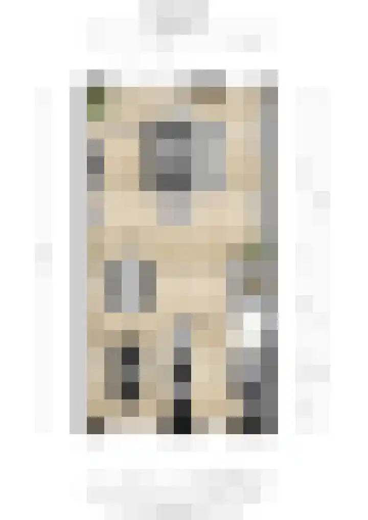Vissen 15 Elst thumbnail 55