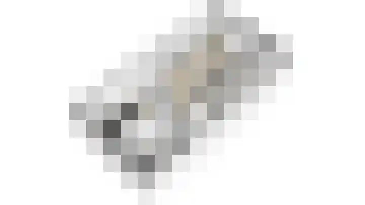 Vissen 15 Elst thumbnail 56