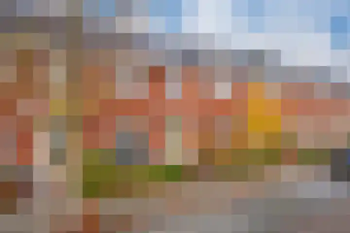 Vissen 15 Elst thumbnail 6