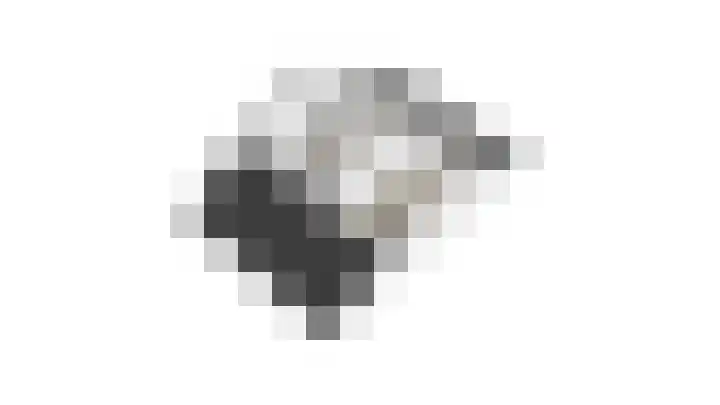 Vissen 15 Elst thumbnail 61